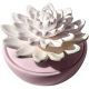 ELLIA CALM WATER PORCELAIN