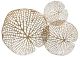 HOUSE+ HOME 3PC LILY LEAF