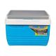 PINNACLE 5QT COOLER